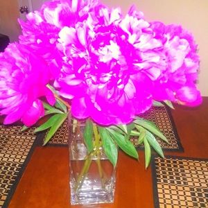 Meet your Posher, Gin